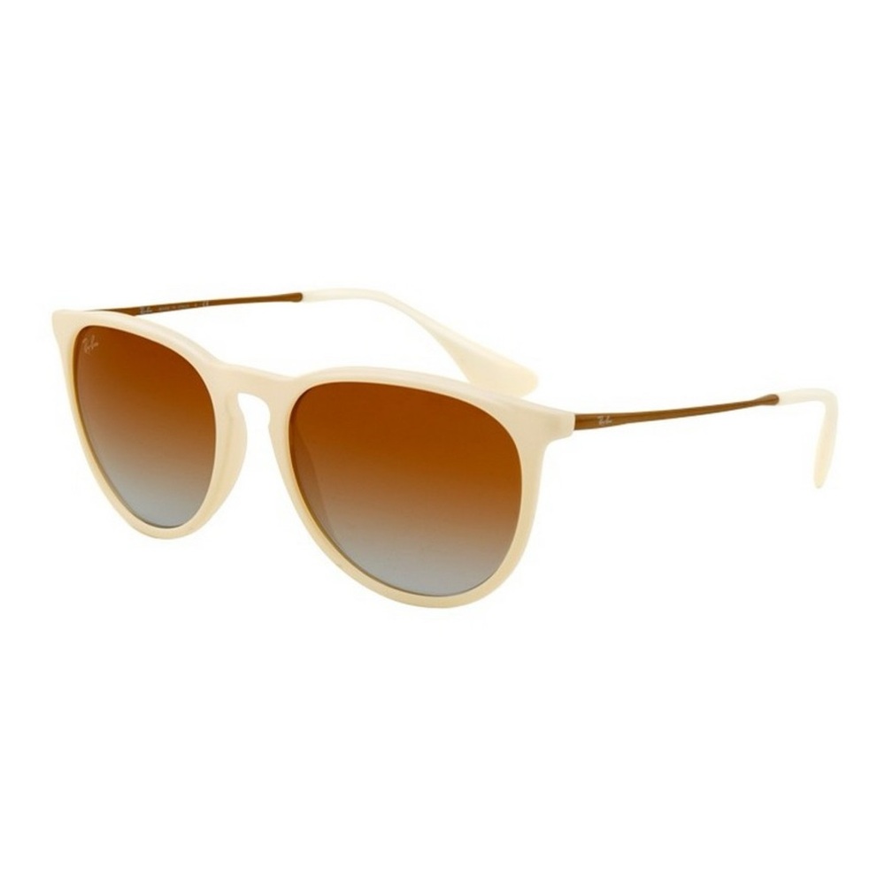 RayBan Erika Sunglasses